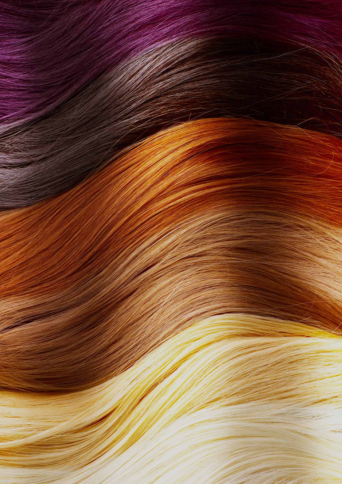 Farbpalette – Beispielmotiv für Colorationen oder Farbauswahl